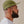 Load image into Gallery viewer, FUZZ - 5 PANEL CAP (GREEN)