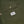 Load image into Gallery viewer, PARLEZ - AMPLE SHIRT (MOSS)