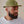 Load image into Gallery viewer, FUZZ - 5 PANEL CAP (GREEN)