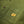 Load image into Gallery viewer, Service Works - FOH Jacket (Pesto)