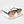 Load image into Gallery viewer, Oscar Deen Fraser - Mocha