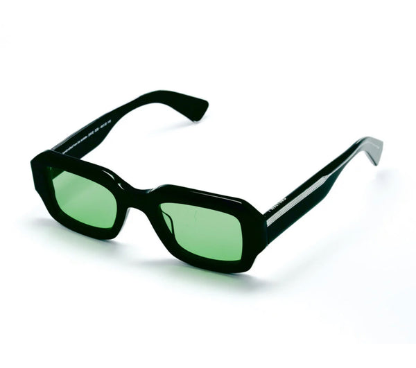 WAITING FOR THE SUN - DAVE E2B SUNGLASSES